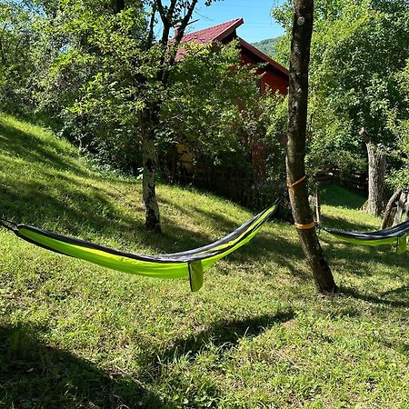 Villa Casa Lupilor Transfagarasan à Căpăţîneni-Ungureni Extérieur photo