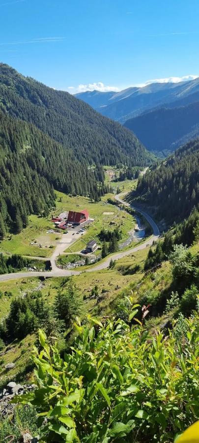 Villa Casa Lupilor Transfagarasan à Căpăţîneni-Ungureni Extérieur photo