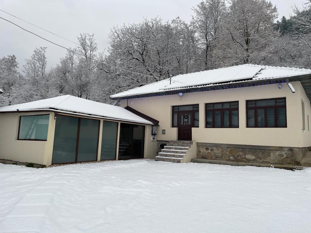 Villa Casa Lupilor Transfagarasan à Căpăţîneni-Ungureni Extérieur photo