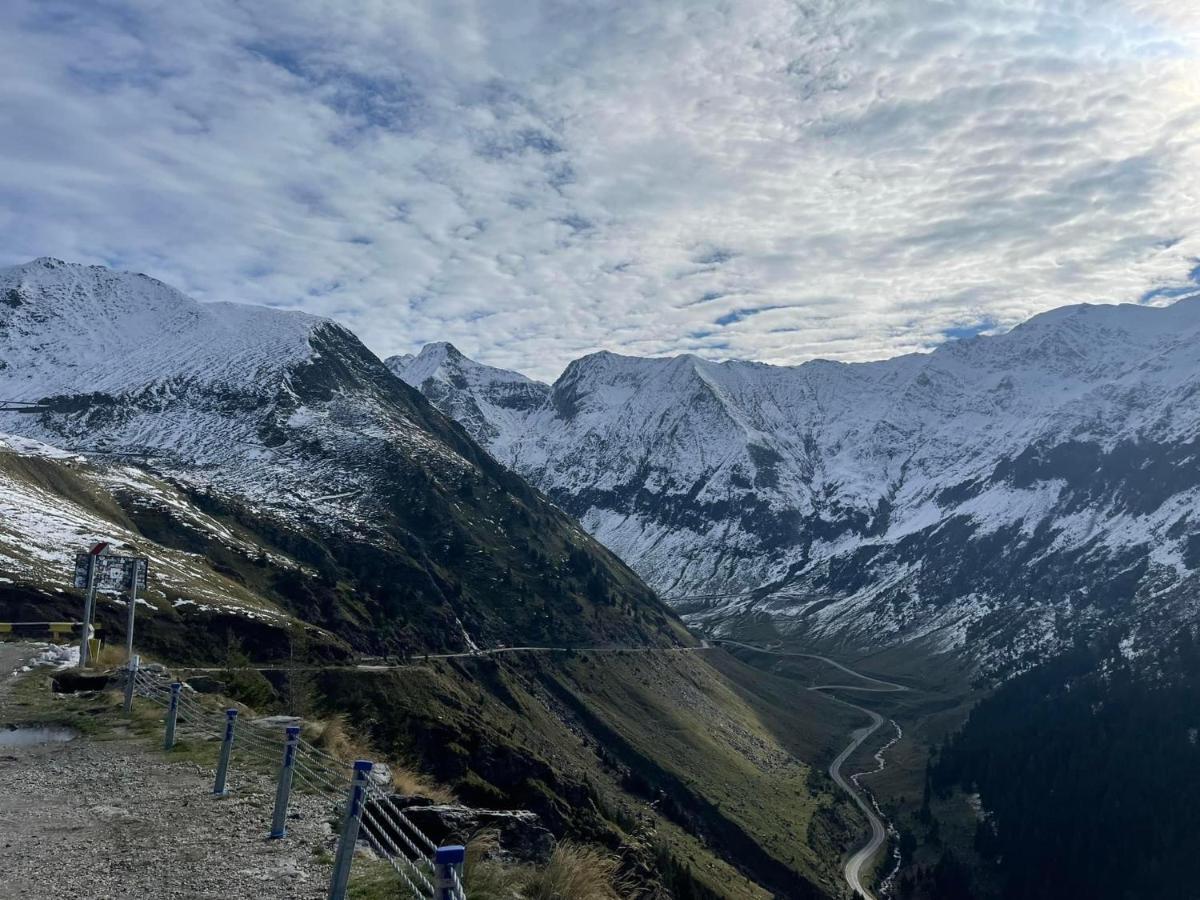 Villa Casa Lupilor Transfagarasan à Căpăţîneni-Ungureni Extérieur photo