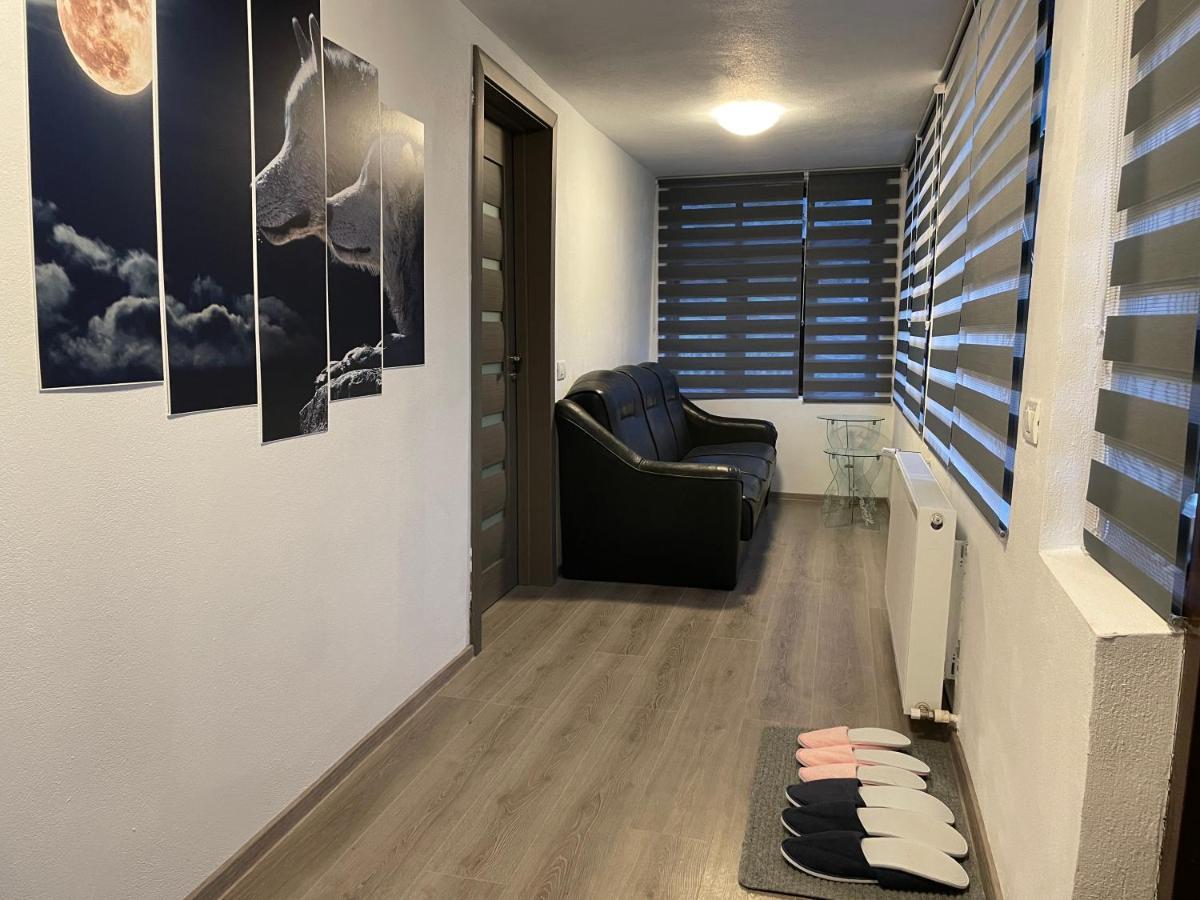 Villa Casa Lupilor Transfagarasan à Căpăţîneni-Ungureni Extérieur photo