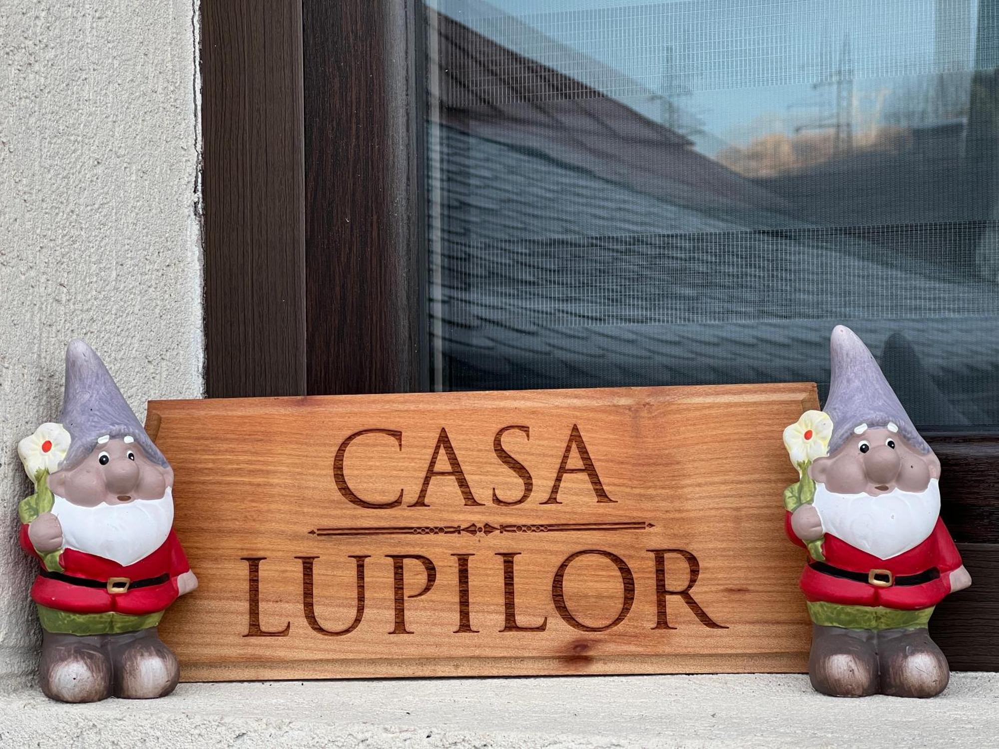 Villa Casa Lupilor Transfagarasan à Căpăţîneni-Ungureni Extérieur photo