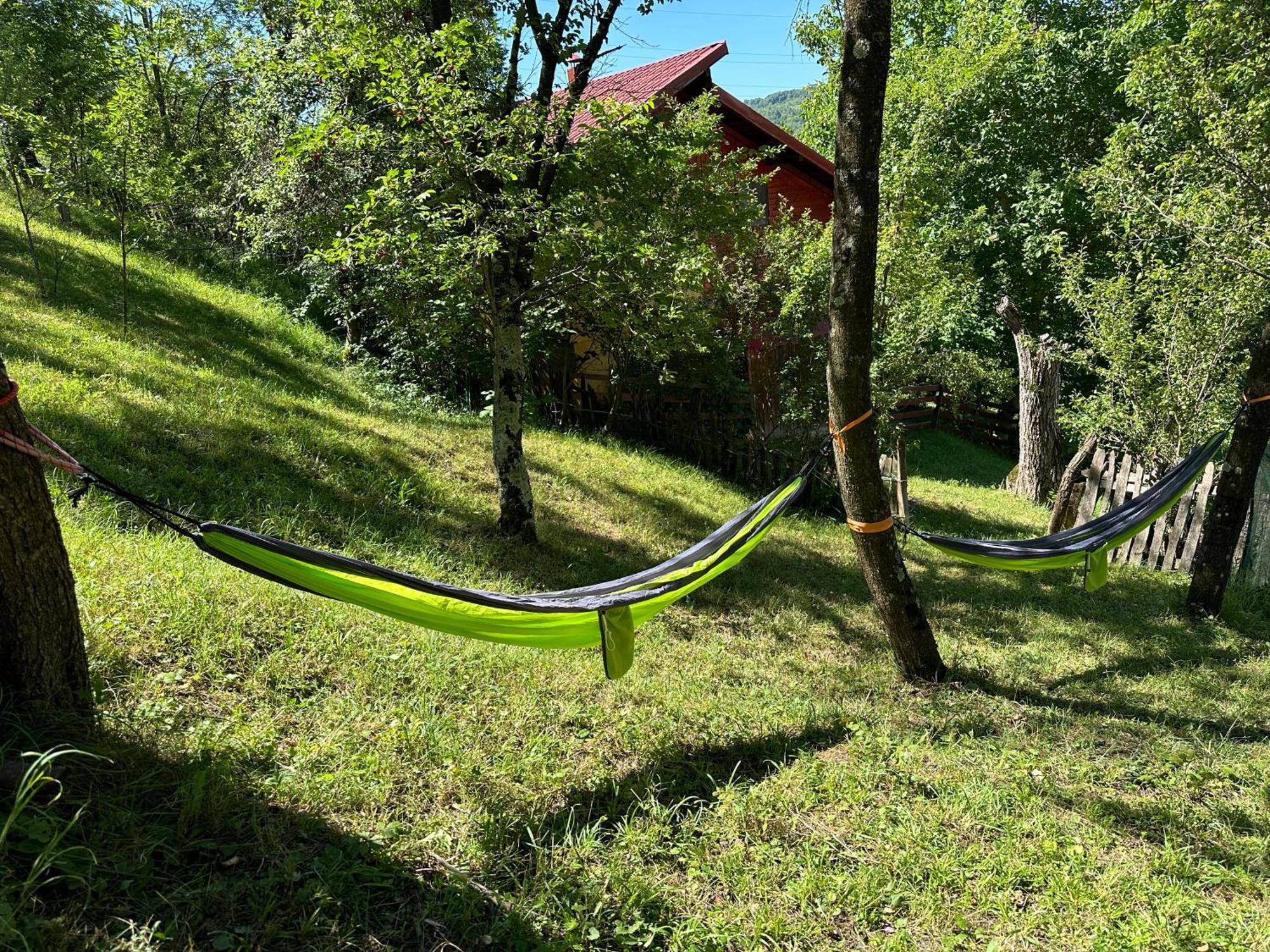Villa Casa Lupilor Transfagarasan à Căpăţîneni-Ungureni Extérieur photo